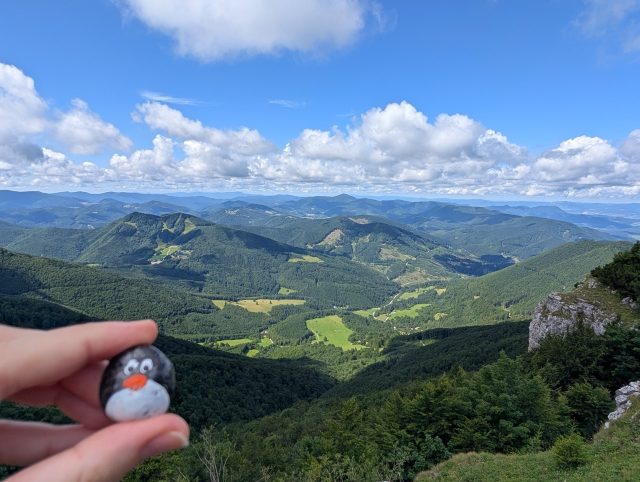 Hand-painted penguin stone #535 hidden at Tourist Route, Klak, Slovakia (photo 3 of 5)