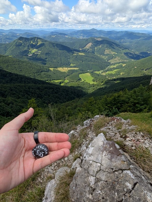 Hand-painted penguin stone #535 hidden at Tourist Route, Klak, Slovakia (photo 4 of 5)
