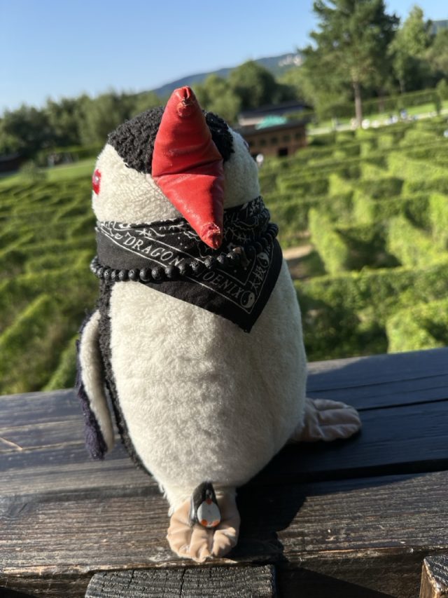 Hand-painted penguin stone #537 hidden at Victoria's Gardens, Stara Lubovna, Slovakia (photo 2 of 5)