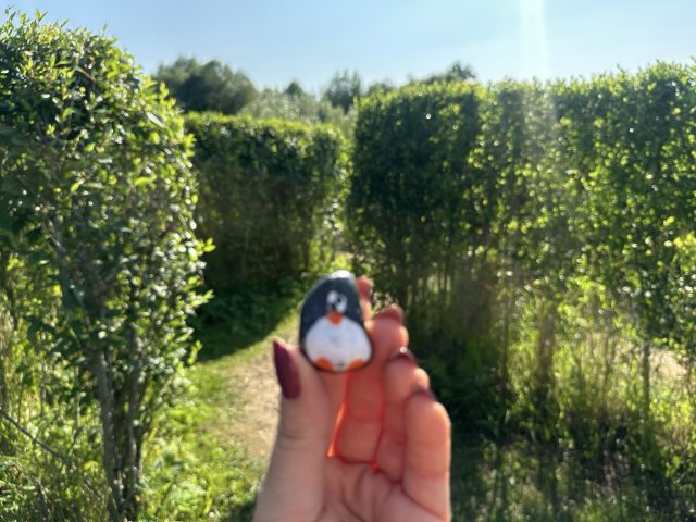 Hand-painted penguin stone #537 hidden at Victoria's Gardens, Stara Lubovna, Slovakia (photo 3 of 5)