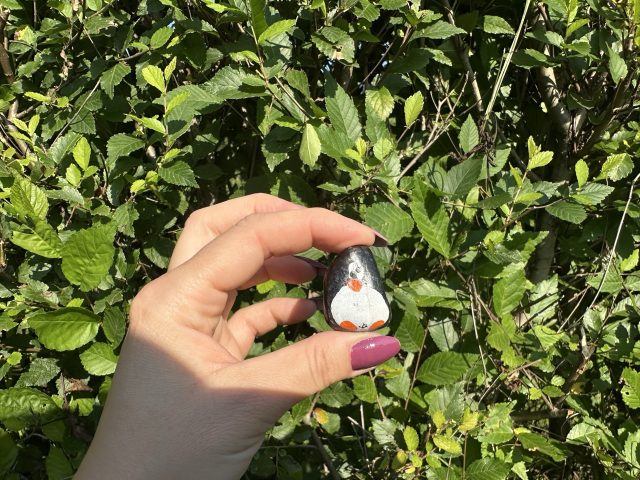 Hand-painted penguin stone #537 hidden at Victoria's Gardens, Stara Lubovna, Slovakia (photo 4 of 5)