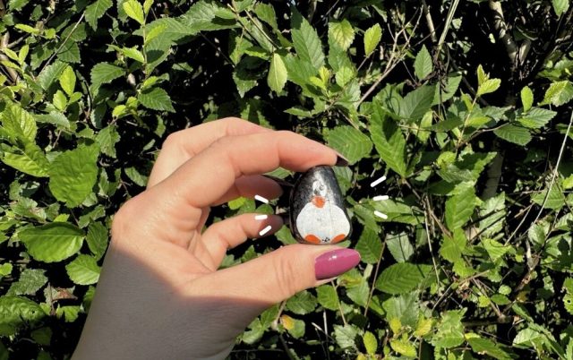 Hand-painted penguin stone #537 hidden at Victoria's Gardens, Stara Lubovna, Slovakia