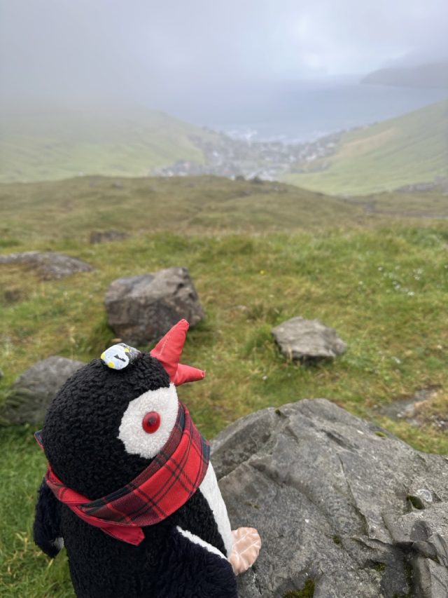 Hand-painted penguin stone #539 hidden at Viewpoint over Kvivik, Kvivik, Faroe Islands (photo 3 of 5)