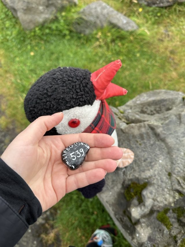 Hand-painted penguin stone #539 hidden at Viewpoint over Kvivik, Kvivik, Faroe Islands (photo 4 of 5)