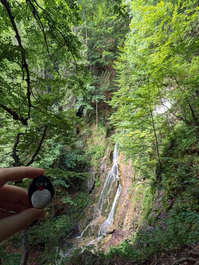 Hand-painted penguin stone #556 hidden at Klak Waterfall, Klak, Slovakia (photo 2 of 5)