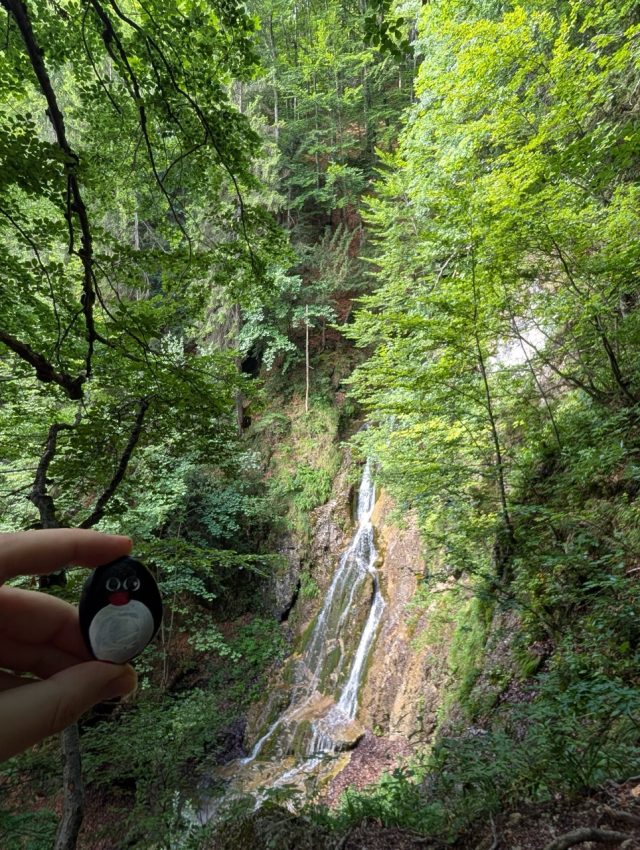 Hand-painted penguin stone #556 hidden at Klak Waterfall, Klak, Slovakia (photo 3 of 5)