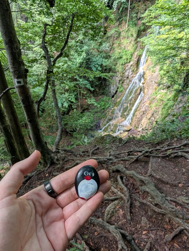 Hand-painted penguin stone #556 hidden at Klak Waterfall, Klak, Slovakia (photo 4 of 5)