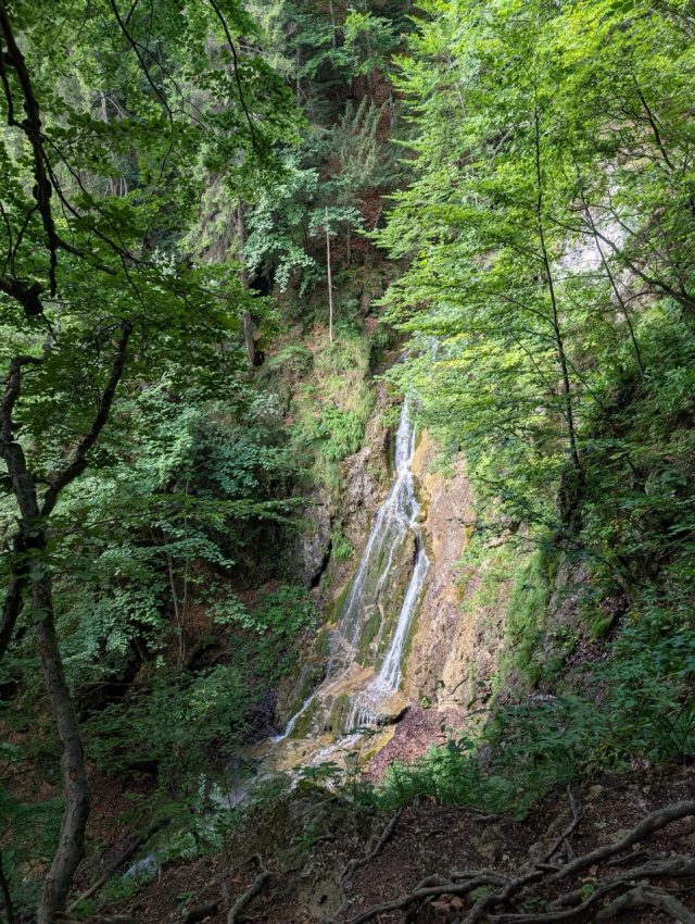 Hand-painted penguin stone #556 hidden at Klak Waterfall, Klak, Slovakia (photo 5 of 5)