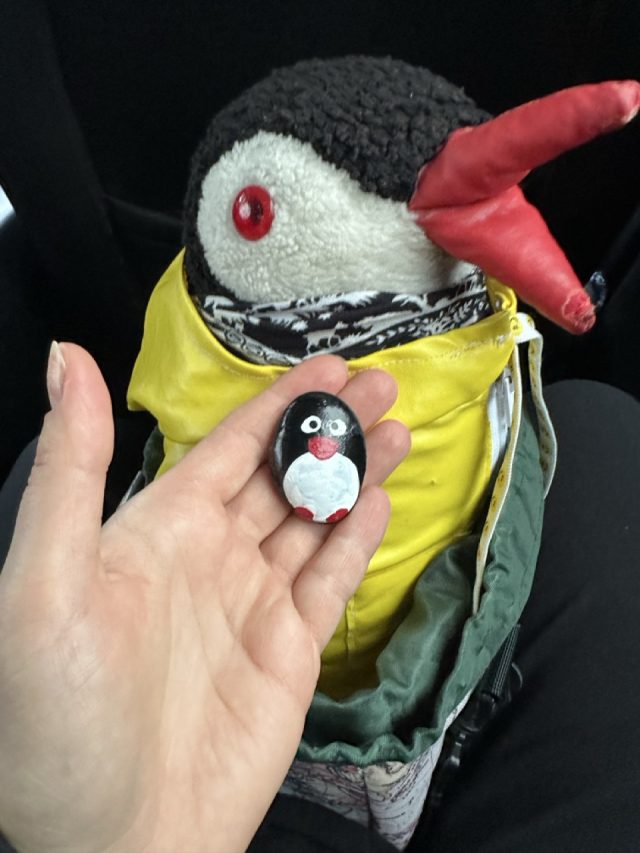 Hand-painted penguin stone #557 hidden at Waterfall, Hosvik, Faroe Islands (photo 5 of 5)