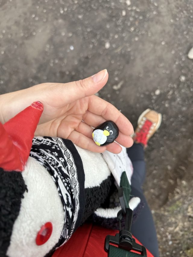Hand-painted penguin stone #559 hidden at Scenic Viewpoint, Vatnsoyrar, Faroe Islands (photo 2 of 5)