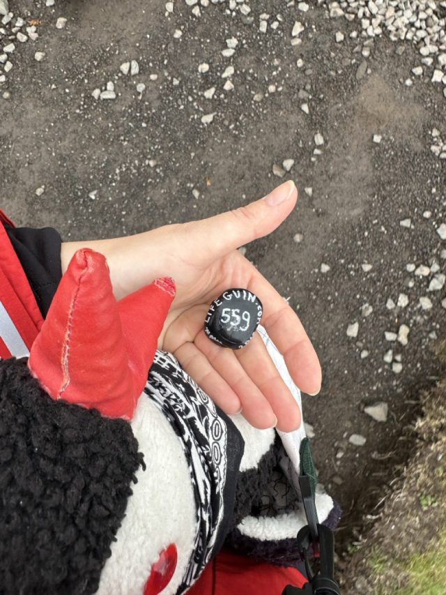 Hand-painted penguin stone #559 hidden at Scenic Viewpoint, Vatnsoyrar, Faroe Islands (photo 3 of 5)