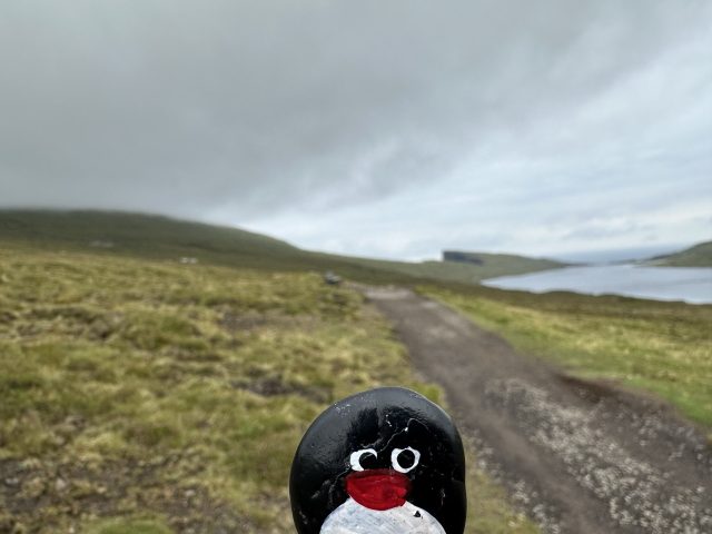 Hand-painted penguin stone #569 hidden at Random rock, Midvagur, Faroe Islands (photo 3 of 5)