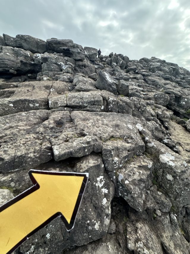 Hand-painted penguin stone #598 hidden at Bosdalafossur Waterfall, Sandavagur, Faroe Islands (photo 4 of 5)