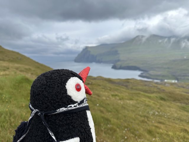 Hand-painted penguin stone #599 hidden at Eidi Viewpoint, Eidiskollur, Faroe Islands (photo 2 of 5)