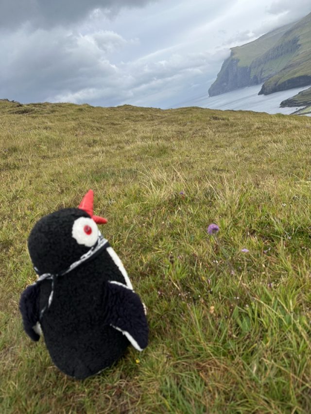 Hand-painted penguin stone #599 hidden at Eidi Viewpoint, Eidiskollur, Faroe Islands (photo 4 of 5)