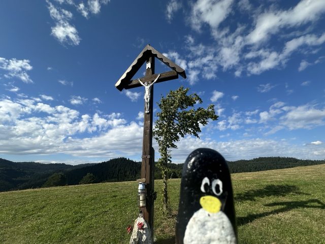 Hand-painted penguin stone #600 hidden at Tree next to the Cross, Chmelnica, Slovakia (photo 3 of 5)
