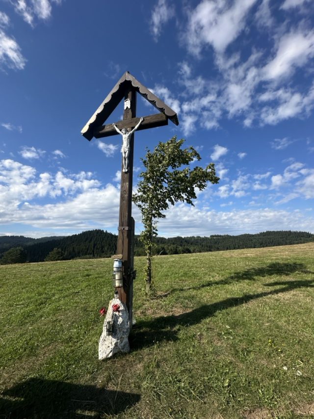 Hand-painted penguin stone #600 hidden at Tree next to the Cross, Chmelnica, Slovakia (photo 5 of 5)