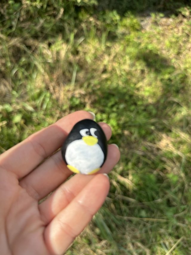 Hand-painted penguin stone #601 hidden at Kaplicka svateho Prokopa, Cesky Sternberk, Czechia (photo 2 of 5)