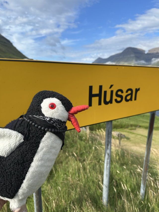 Hand-painted penguin stone #614 hidden at Bench, Husar, Faroe Islands (photo 2 of 5)