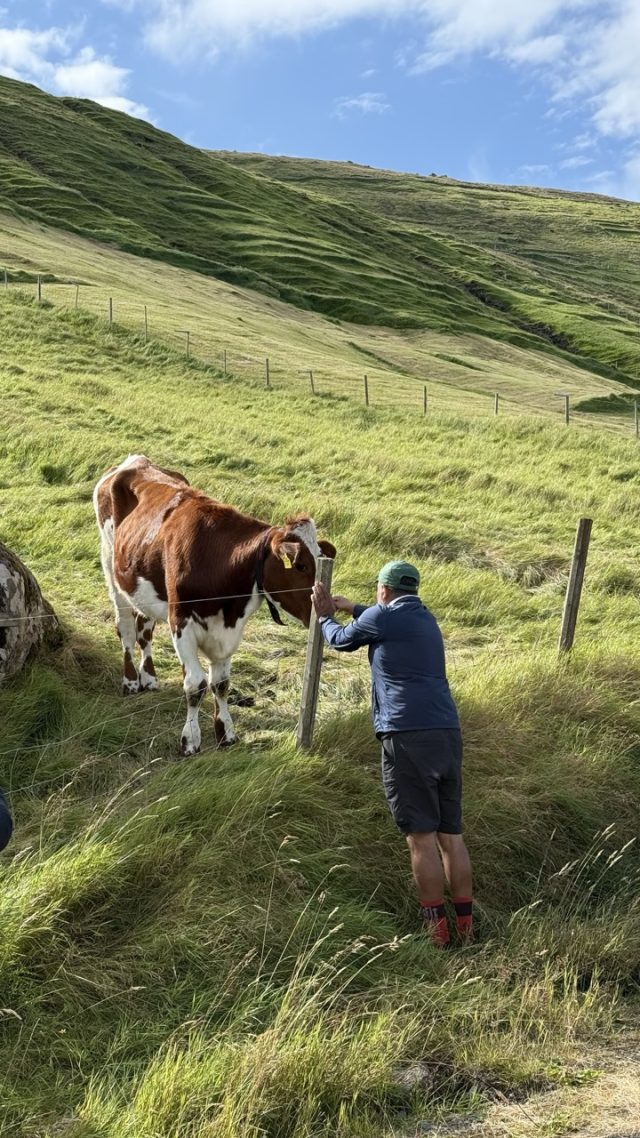 Hand-painted penguin stone #614 hidden at Bench, Husar, Faroe Islands (photo 3 of 5)