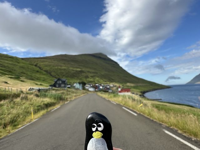 Hand-painted penguin stone #614 hidden at Bench, Husar, Faroe Islands (photo 4 of 5)