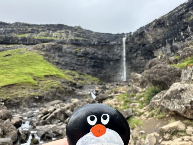 Hand-painted penguin stone #617 hidden at Fossa Waterfall, Streymoy Island, Faroe Islands (photo 4 of 5)