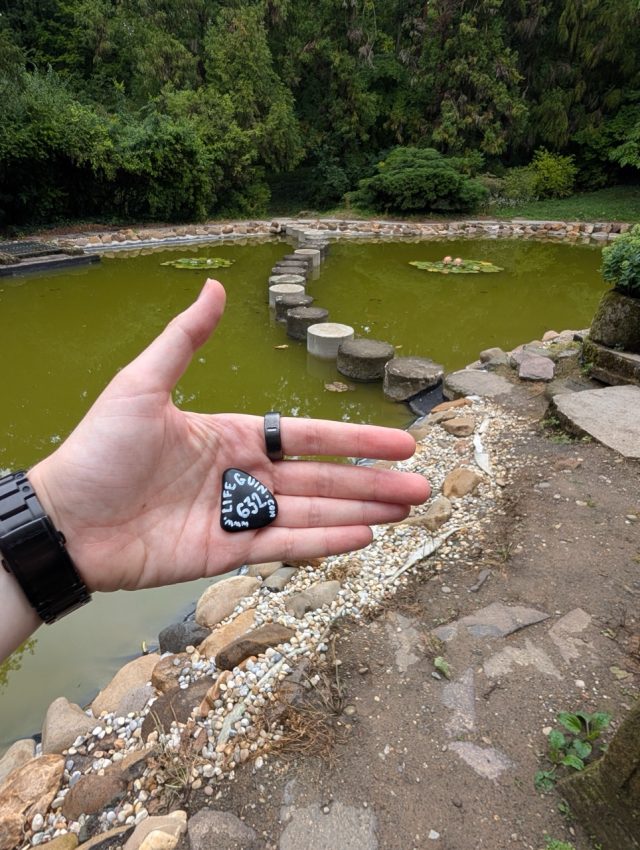 Hand-painted penguin stone #632 hidden at Arboretum Mlynany SAV, Vieska nad Zitavou, Slovakia (photo 2 of 5)