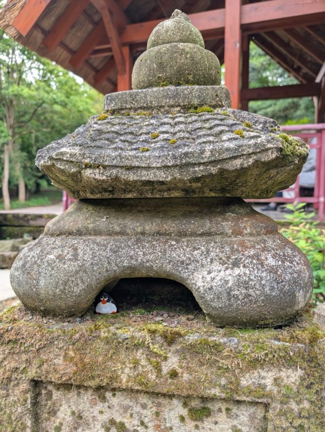 Hand-painted penguin stone #632 hidden at Arboretum Mlynany SAV, Vieska nad Zitavou, Slovakia (photo 4 of 5)