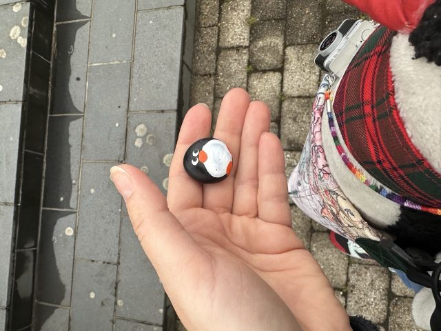 Hand-painted penguin stone #636 hidden at Vesturkirkjan, Torshavn, Faroe Islands (photo 2 of 5)