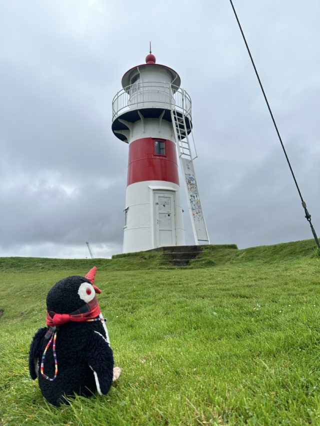 Hand-painted penguin stone #639 hidden at Skansin, Torshavn, Faroe Islands (photo 2 of 5)