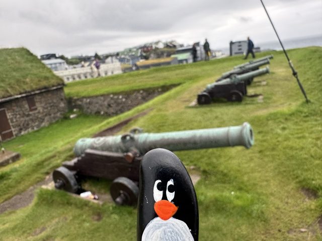 Hand-painted penguin stone #639 hidden at Skansin, Torshavn, Faroe Islands (photo 5 of 5)