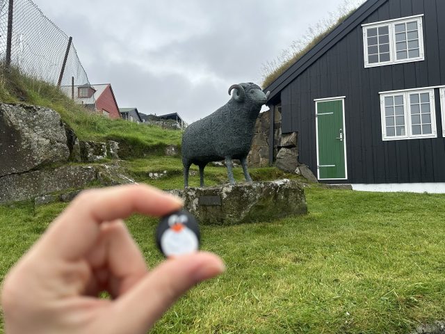 Ručne maľovaný tučniakový kameň č. 652 ukrytý na mieste Ram Statue, Tórshavn, Faerské ostrovy (fotka 4 z 5)