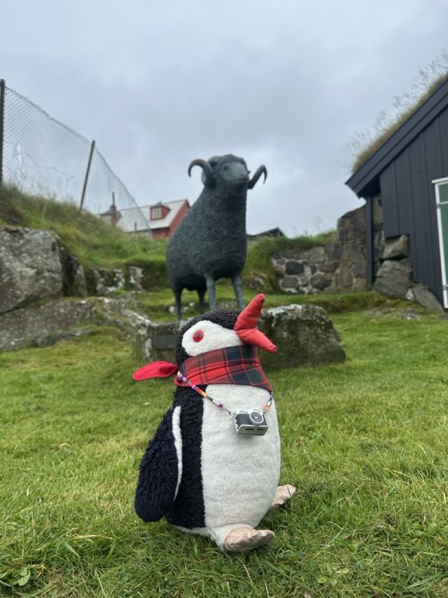 Ručne maľovaný tučniakový kameň č. 652 ukrytý na mieste Ram Statue, Tórshavn, Faerské ostrovy (fotka 5 z 5)