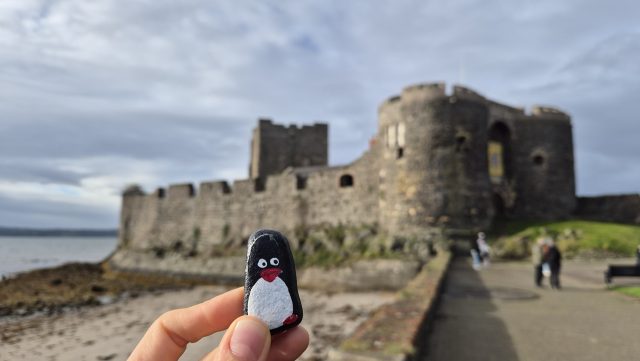 Hand-painted penguin stone #220 hidden at Carrickfergus Castle, Carrickfergus, United Kingdom (photo 5 of 5)
