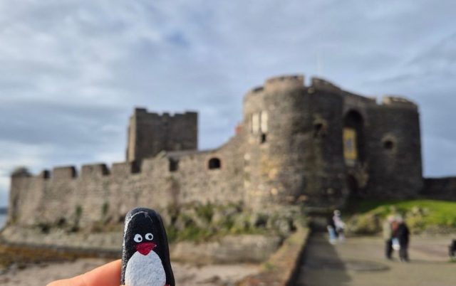 Hand-painted penguin stone #220 hidden at Carrickfergus Castle, Carrickfergus, United Kingdom