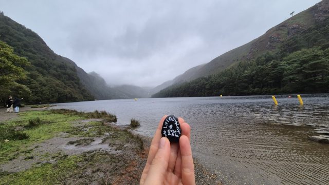 Hand-painted penguin stone #222 hidden at Glendalough, Knockfadda, Ireland (photo 4 of 5)