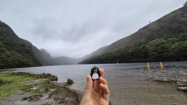 Hand-painted penguin stone #222 hidden at Glendalough, Knockfadda, Ireland (photo 5 of 5)