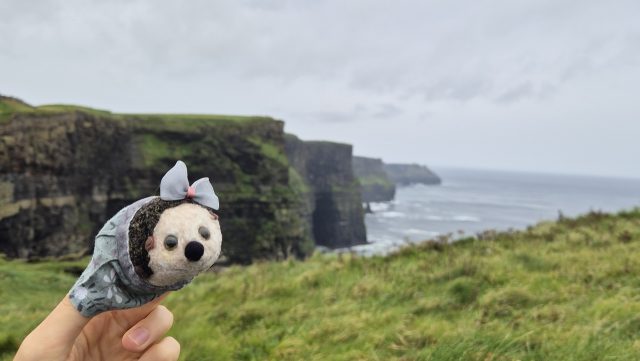 Hand-painted penguin stone #229 hidden at Cliffs of Moher, Lislorkan North, Ireland (photo 5 of 5)