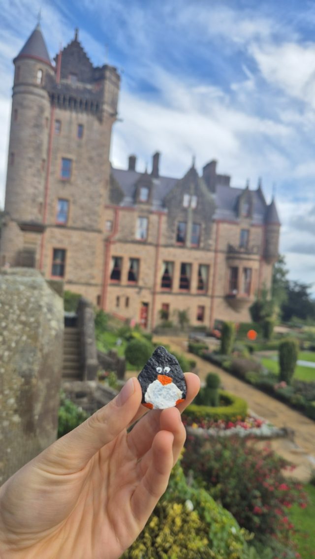 Hand-painted penguin stone #254 hidden at Belfast Castle, Belfast, United Kingdom (photo 2 of 5)