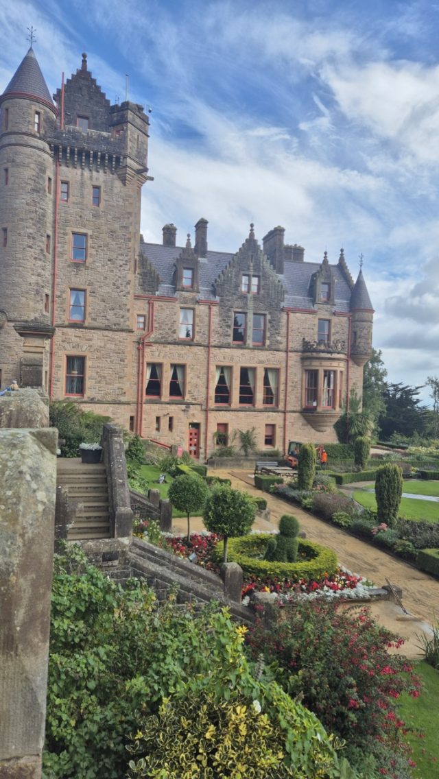 Hand-painted penguin stone #254 hidden at Belfast Castle, Belfast, United Kingdom (photo 5 of 5)