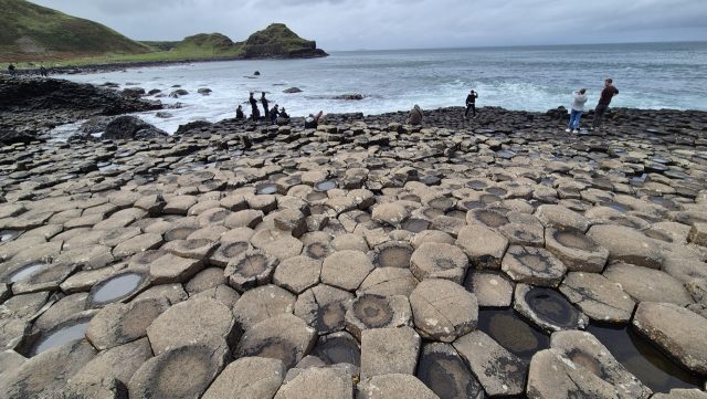 Hand-painted penguin stone #318 hidden at Giant's Causeway, County Antrim, United Kingdom (photo 2 of 5)
