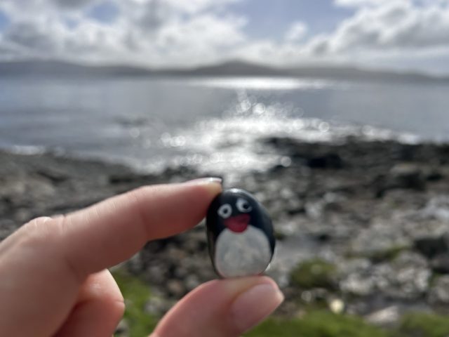 Ručne maľovaný tučniakový kameň č. 420 ukrytý na mieste Rock, Kirkjubøur, Faerské ostrovy (fotka 4 z 5)