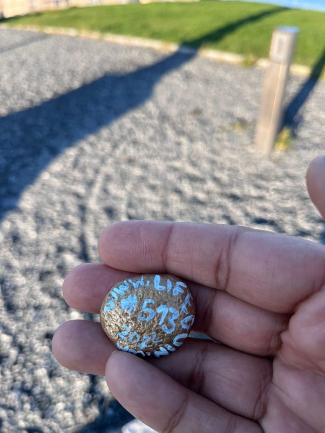 Hand-painted penguin stone #513 hidden at The Struve Geodetic Arc Norway, Hammerfest, Norway (photo 3 of 5)