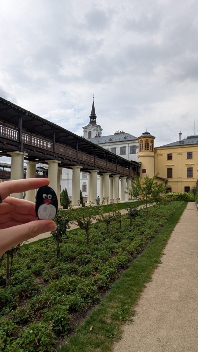Hand-painted penguin stone #558 hidden at State Chateau Lysice, Lysice, Czechia (photo 4 of 5)