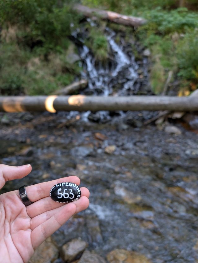 Hand-painted penguin stone #563 hidden at Waterfall, Karlova Studanka, Czechia (photo 3 of 5)
