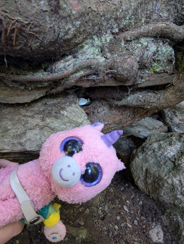 Hand-painted penguin stone #563 hidden at Waterfall, Karlova Studanka, Czechia (photo 5 of 5)