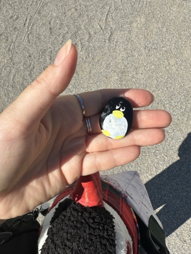 Hand-painted penguin stone #606 hidden at Schloss Niederweiden, Niederweiden, Austria (photo 3 of 5)