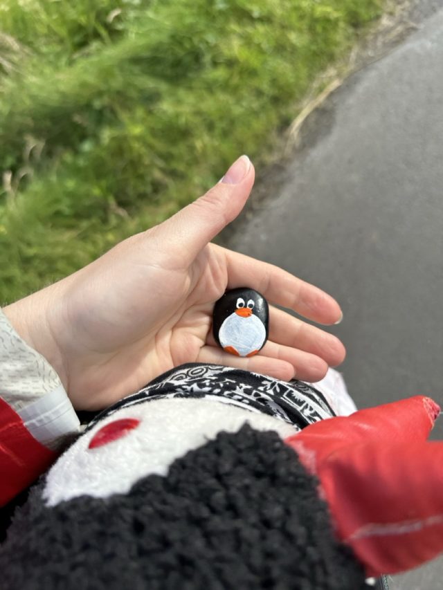 Hand-painted penguin stone #642 hidden at Sandagerd beach, Torshavn, Faroe Islands (photo 2 of 5)