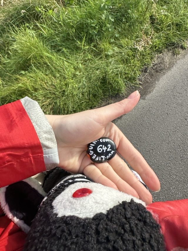 Hand-painted penguin stone #642 hidden at Sandagerd beach, Torshavn, Faroe Islands (photo 3 of 5)