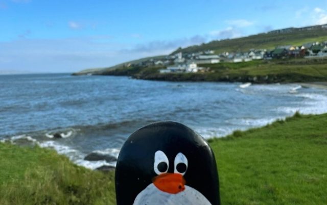 Hand-painted penguin stone #642 hidden at Sandagerd beach, Torshavn, Faroe Islands